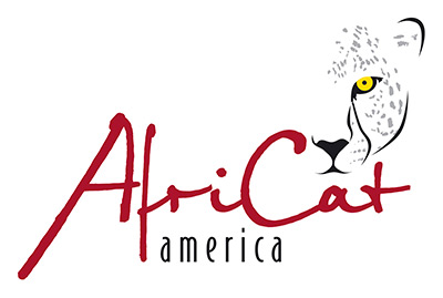 AfriCat America logo