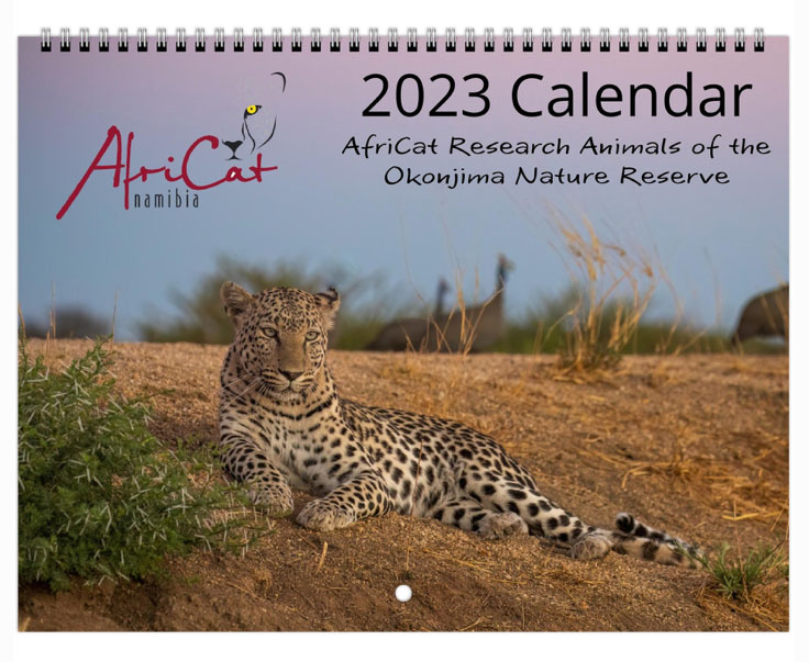 Africat calendar 2023