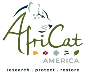 Africat America