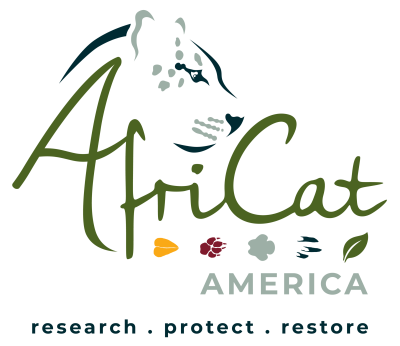 Africat America